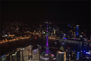 Shanghai's bird-watching destinations Shanghai's bird-watching destinations