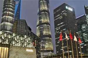 上海在全球创新网络中的连接 上海在全球创新网络中的连接